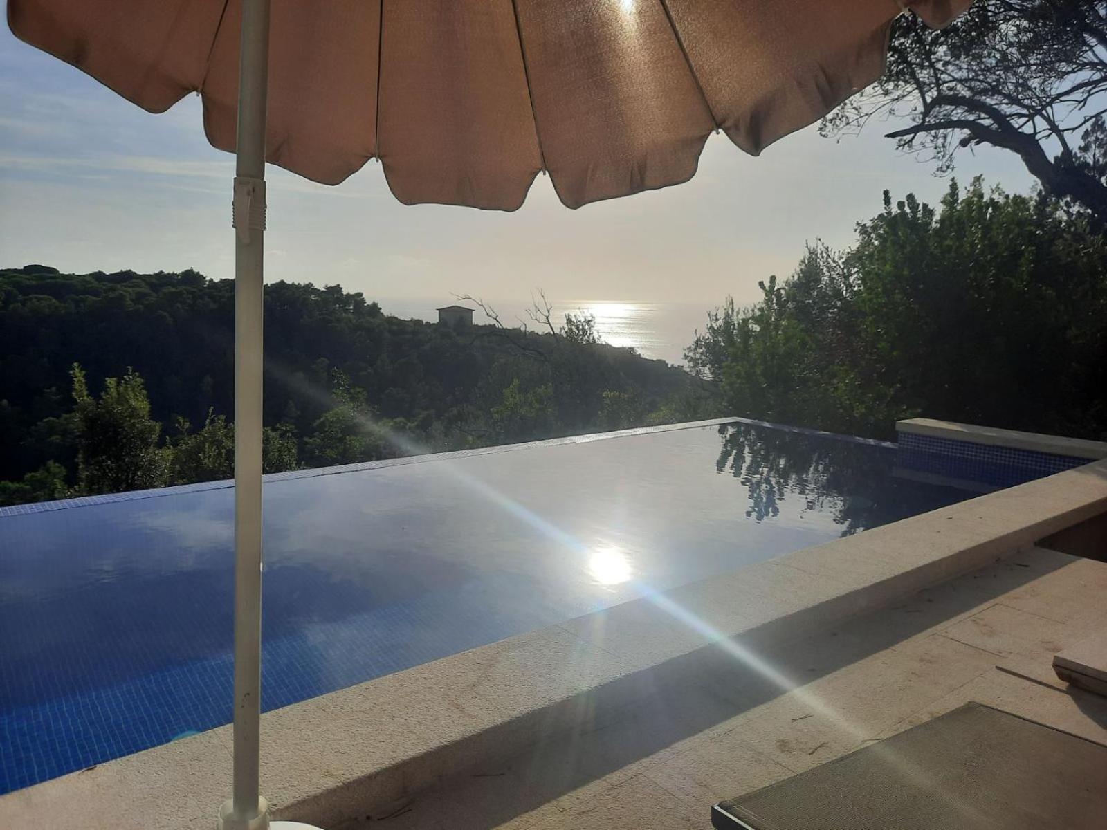 Apartmán Mongoose Herceg Novi Exteriér fotografie