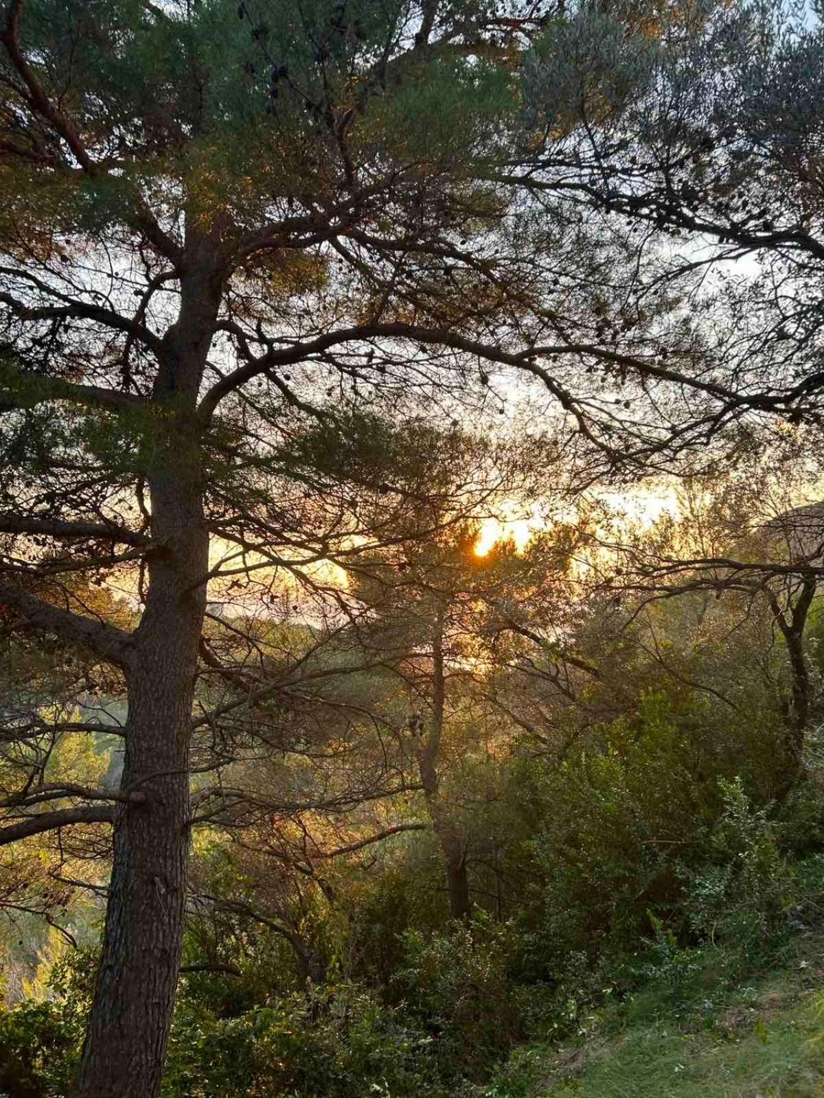 Apartmán Mongoose Herceg Novi Exteriér fotografie