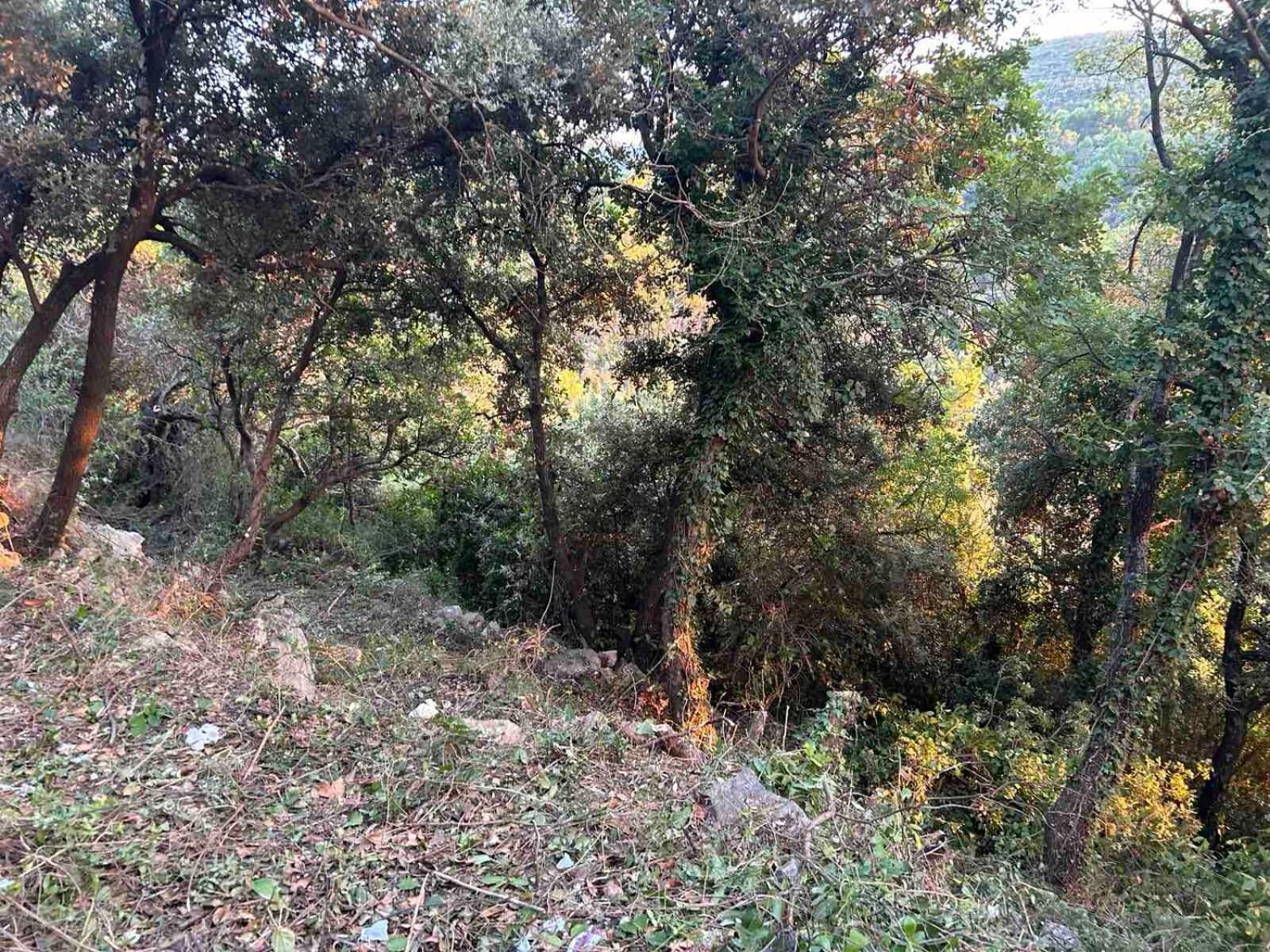 Apartmán Mongoose Herceg Novi Exteriér fotografie