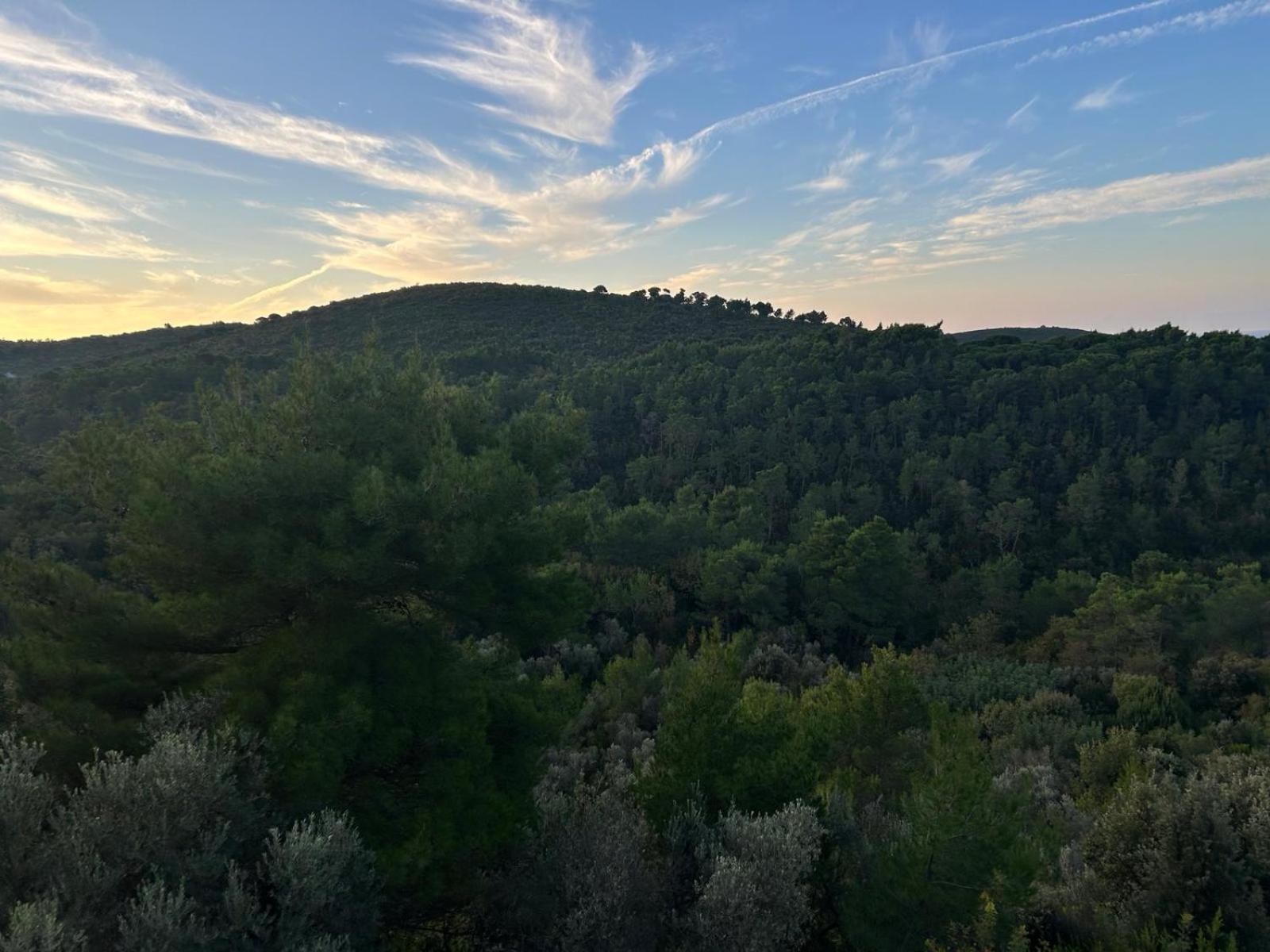 Apartmán Mongoose Herceg Novi Exteriér fotografie