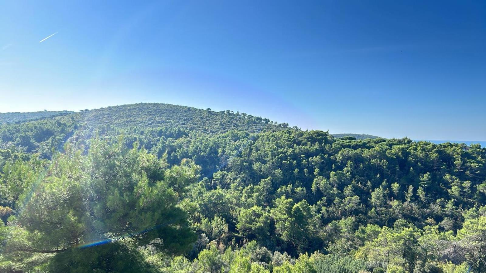 Apartmán Mongoose Herceg Novi Exteriér fotografie